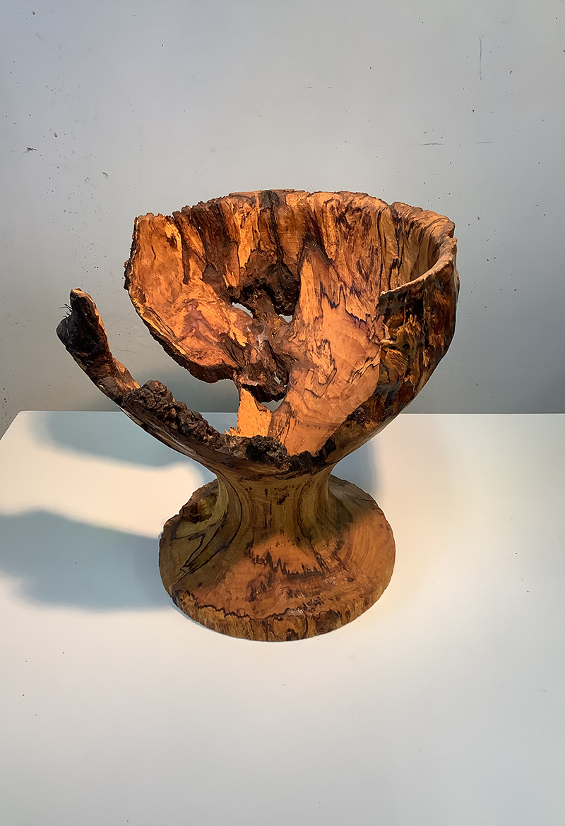 Beech 340 mm x 330 mm